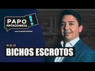 BICHOS ESCROTOS - Papo Antagonista com Claudio Dantas