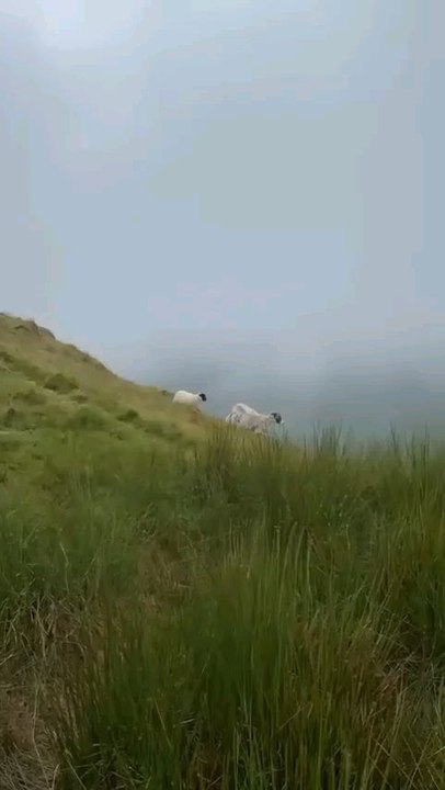 Travel To Scottish Highlands | My Fitst Time Visit Scotland |