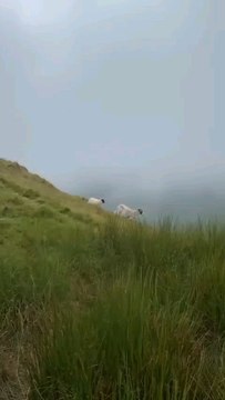 Travel To Scottish Highlands | My Fitst Time Visit Scotland |