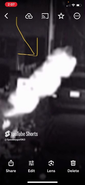 Still more unusual Bugs