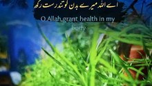 Dua