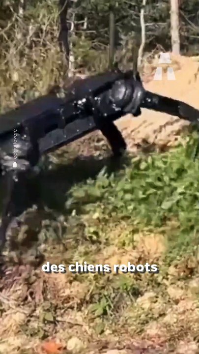 Des Chiens-Robots Militaires Testés à Gaza par Israël ! 😨