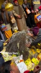 केदारनाथ यात्रा: पशुपति की आरती, पशुओं पर ज़्यादती? || आचार्य प्रशांत