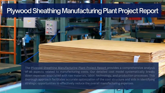 Plywood Sheathing Manufacturing Plant Project Report