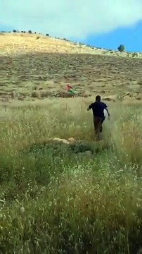 A Zionist saw the Palestinian flag stopped his car and tried to take it down Moments later he was taken down instead.