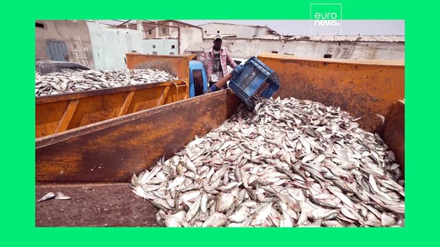 The EU-Mauritania fisheries deal explained