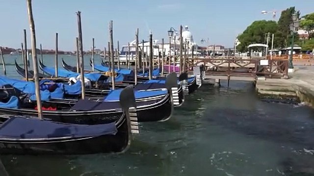 Jeff Bezos, a Venezia la protesta contro il suo matrimonio: «Paga più tasse»