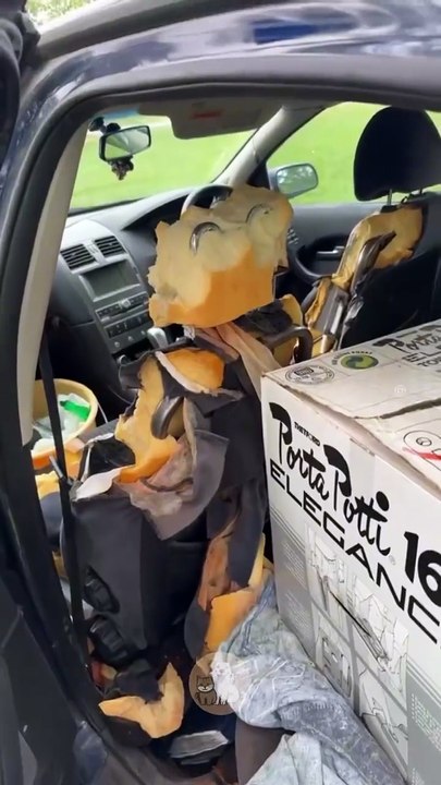 These Dogs Have Beef With Cars 🐶💢🚗 #MyPetsie ___________________________________________ Explore the Link in Our Bio for More Best Pets Toys & Supplies! 🛒🛍️ __________________________________