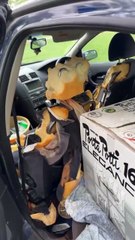 These Dogs Have Beef With Cars 🐶💢🚗 #MyPetsie ___________________________________________ Explore the Link in Our Bio for More Best Pets Toys & Supplies! 🛒🛍️ __________________________________