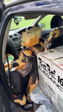 These Dogs Have Beef With Cars 🐶💢🚗 #MyPetsie ___________________________________________ Explore the Link in Our Bio for More Best Pets Toys & Supplies! 🛒🛍️ __________________________________