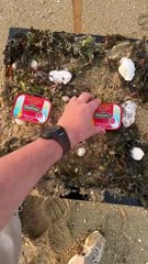 J’ai décidé de nourrir les mouettes