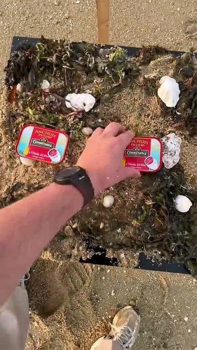 J’ai décidé de nourrir les mouettes
