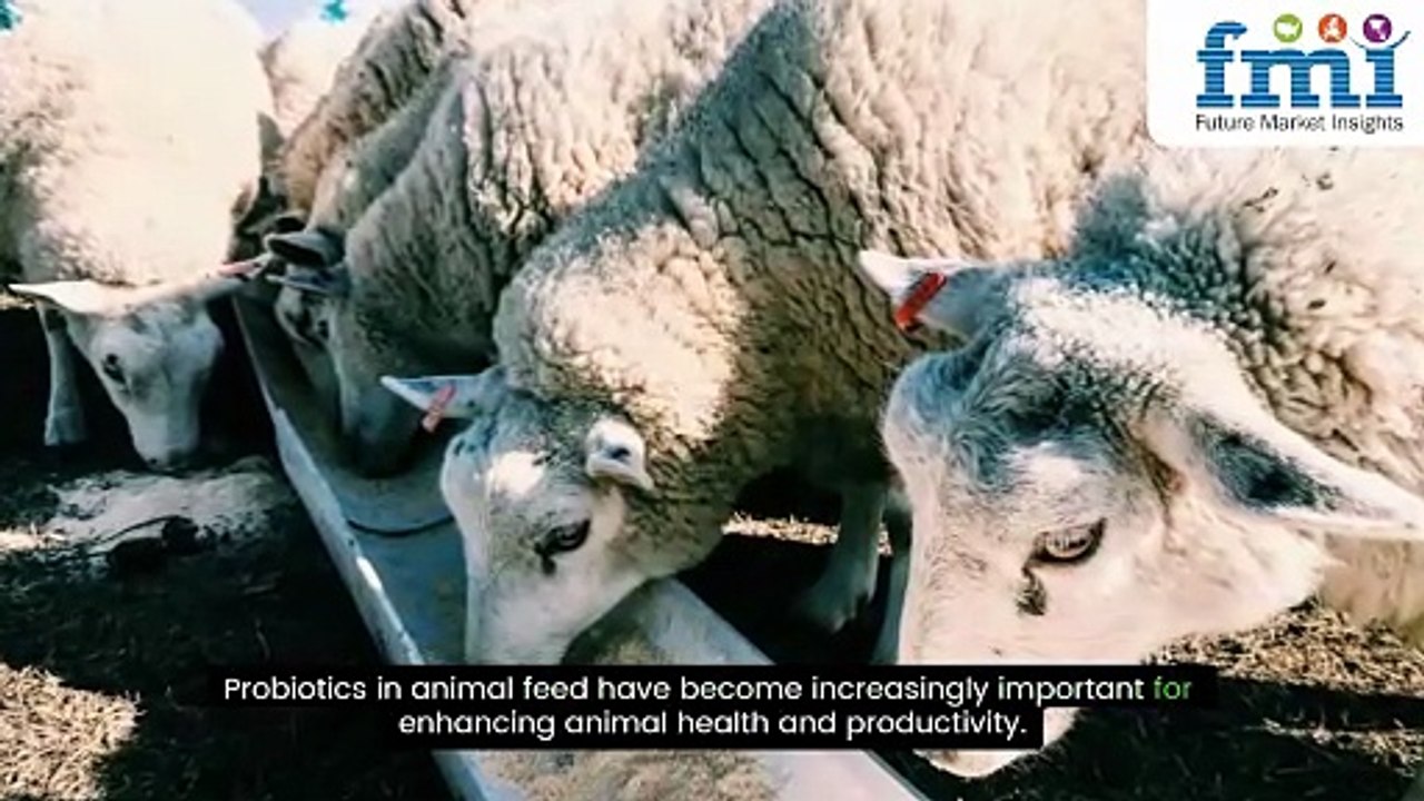 Animal Feed Probiotic Market In-depth Insights, Revenue Details, Regional Analysis by 2035