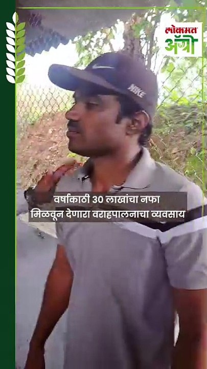 वर्षाकाठी ३० लाखांचा नफा मिळवून देणारा वराहपालनाचा व्यवसाय