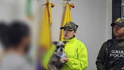 Policía rescató una mascota en Bogotá: extorsionaban a familia para regresarla con vida