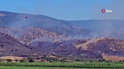 Nazilli’de zirai alan yangını