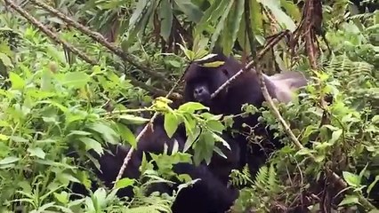 Incredible Moments Caught On Camera