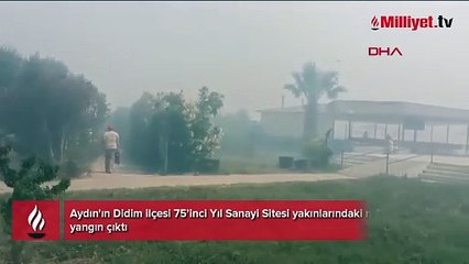 İki kentte orman yangını! Alevler otoyola ulaştı