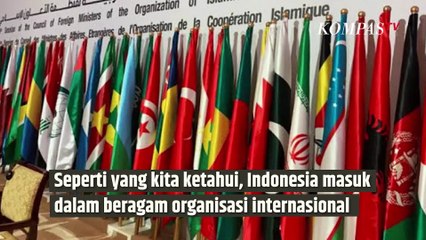 Perang Israel-Iran, Indonesia Ingatkan Israel soal Bahaya Nuklir| SINAU