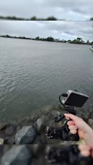 Mimpi yang menjadi kenyataan seekor kamera