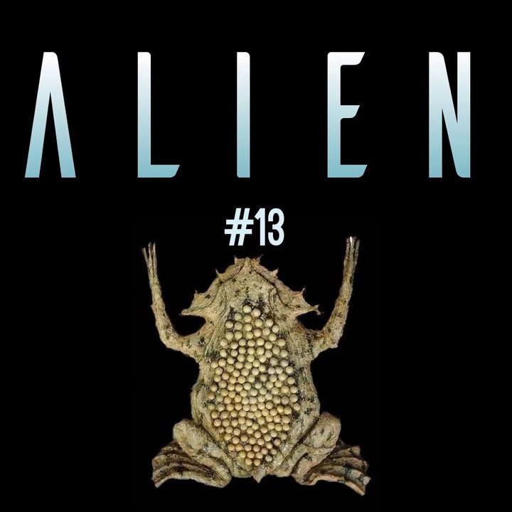 Pipa pipa, la grenouille qui a ses petits dans la peau - 👽 ALIEN #13