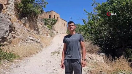 Şanlıurfa’da Korku Dolu Anlar: Cep Telefonuyla Görüntülemek İstediler, Saldırıya Uğradılar