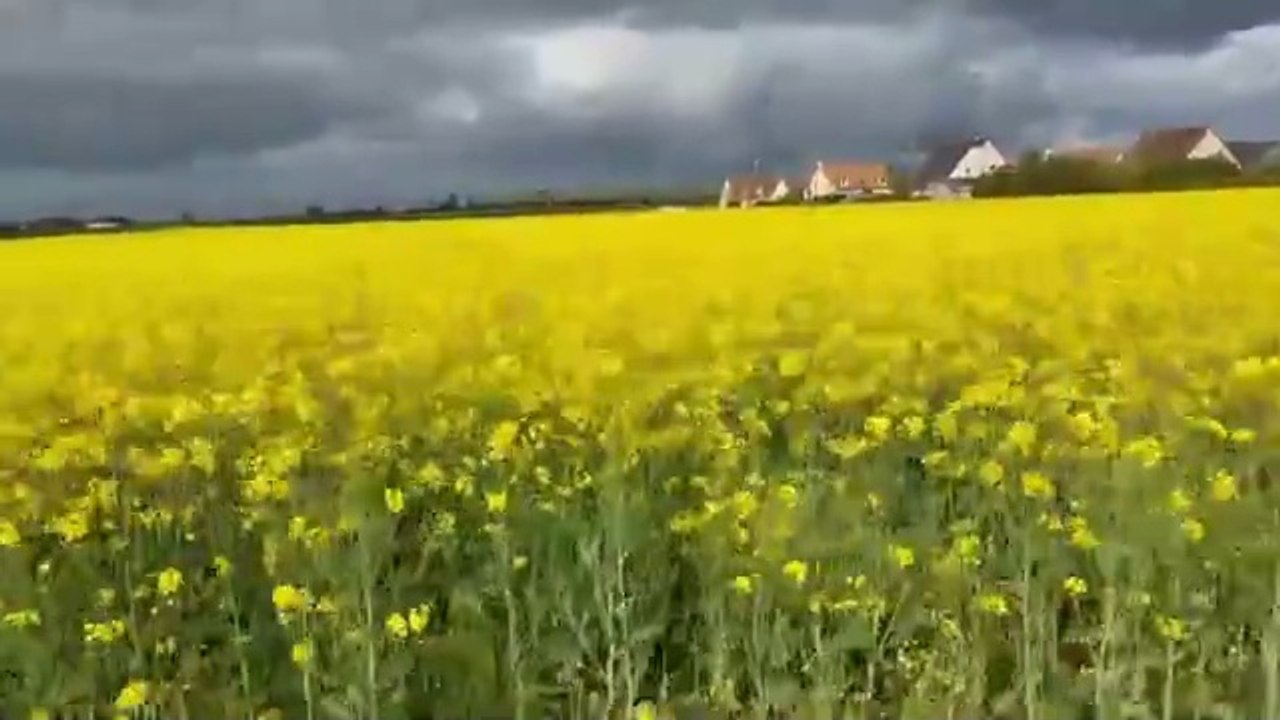 How to Live the French Lifestyle—No Matter Where You Are