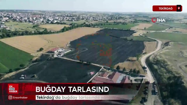 Tekirdağ’da buğday tarlasında yangın: 400 dönüm alan kül oldu