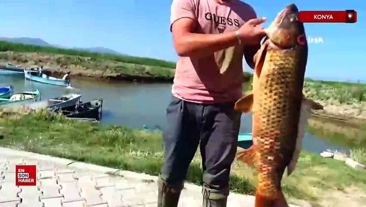 Beyşehir Gölü'nde av sezonu