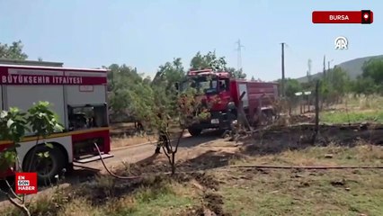 Bursa'da çıkan iki orman yangını kontrol altında