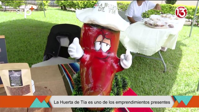 SLP Viernes 20 junio Pase Fiestas Tibas