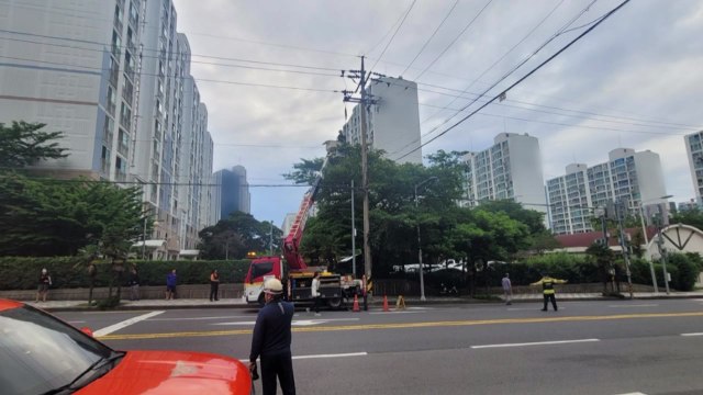 까마귀 탓에 제주 아파트 정전...승강기 갇힌 주민 3명 구조 / YTN