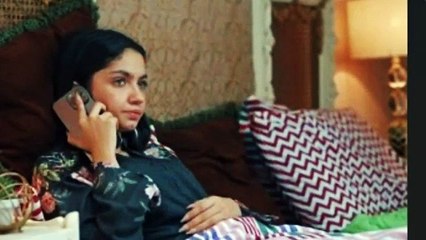 Raaja Rani Episode 15 _faysalqureshi _Sohail Ali _hinaafridi _23 Jun 2025 _Hum TV Drama _Full Review(360P)