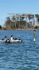 The Ideal East Coast Summer Road Trip for Foodies