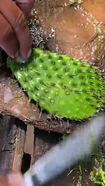 Amazing Video😍