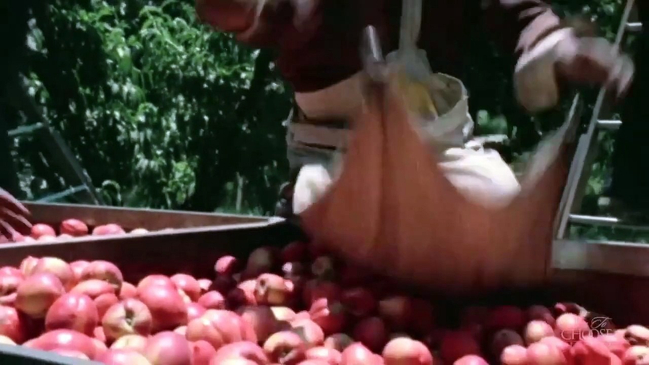 Milton Friedman: Chancen, die ich meine [1980] - 8/10 - Wer schützt den Arbeiter?