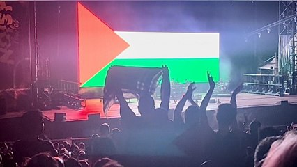 Massive Attack all'Arena Flegrea: Palestina Libera