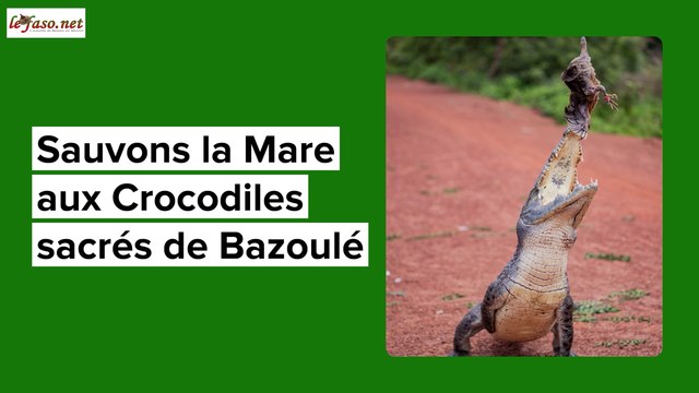 Tourisme : Il faut sauver la mare aux crocodiles sacrés de Bazoulé