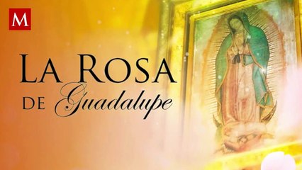 Actriz de La Rosa de Guadalupe cuenta en redes sociales cómo vive la difícil situación en Israel