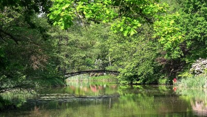 Slow Ocean Breeze – Relaxing Waves for Emotional Calm