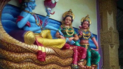 Who You Think You Are Season 16 Episode 7