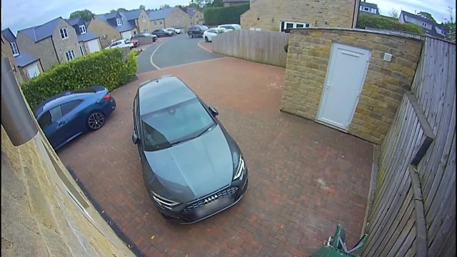 Loose Horse Pulling Empty Cart Runs Into Parked Cars