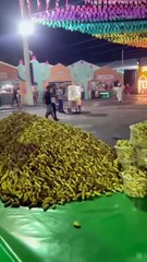 Camaforró 2025: festa movimenta a economia local e comerciantes comemoram; veja