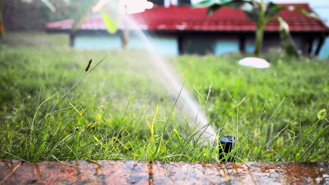 Santa Clarita Diet | movie | 2017 | Official Trailer