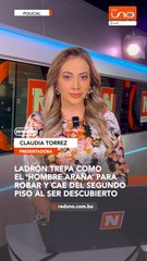 Ladrón trepa como Hombre Araña para robar