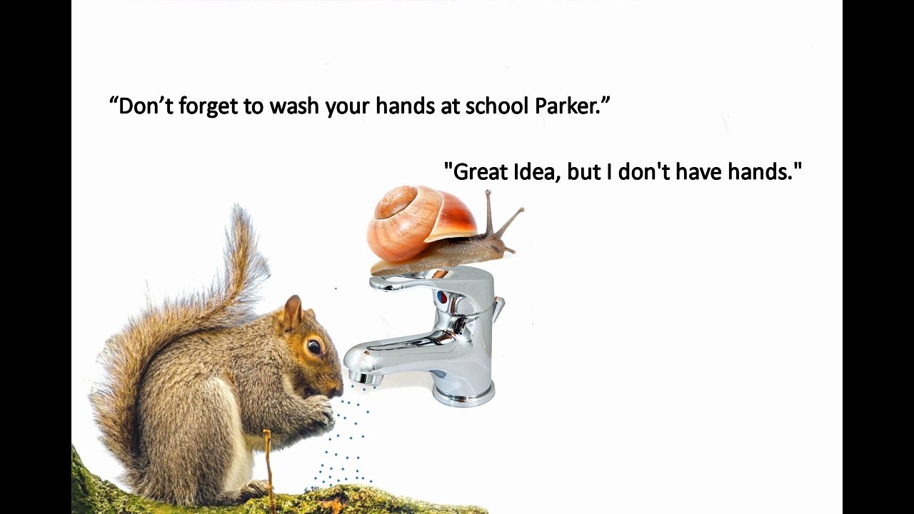 Back to School Snail | A Gentle Read-Aloud for Kids | Narrated by Hank Wilson