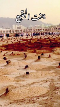 جنت البقیع، مدینہ منورہ میں موجود قبرستان ہے۔ یہاں اصحابِ رسول، اہلِ بیتِ رسول اور کئی معزز شخصیات مدفون ہیں۔ بقیع اس جگہ کو کہتے ہیں جہاں جنگلی پیڑ پودے. جنت البقیع میں 10,000 صحابہ کو دفن کیا گیا جن میں بعض امہات المومنین رسول اللہ صلی اللہ علیہ وسلم کی