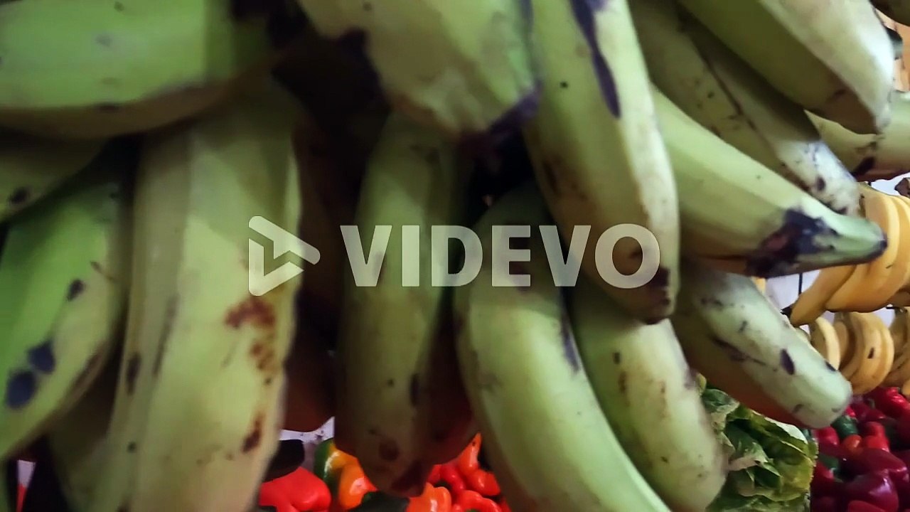 Plantains and bananas hanging in a fruit store