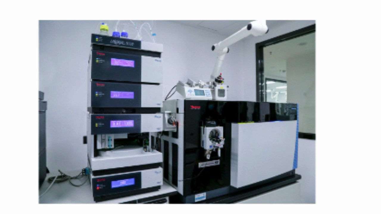 Changsha Morning Shine Co., Ltd.