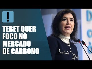 Brasil pode estar no centro da economia mundial com causa verde, diz Tebet a industriais